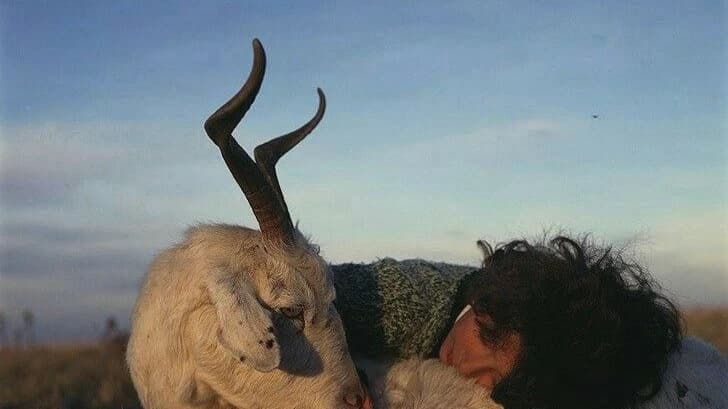 Утренний ритуал с пиалой